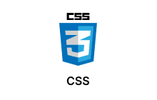 CSS Logo